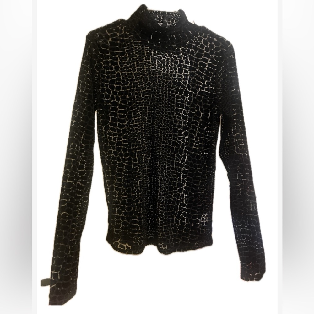 NWT Express sheer velvet top